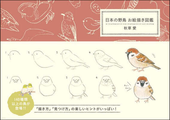 日本の野鳥お繪描き圖鑑