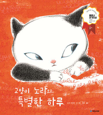 고양이 노라의 특별한 하루