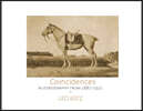 Coincidences  The Leo Katz autobiography until 1921