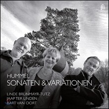 Jaap Ter Linden 훔멜: 피아노 / 첼로 / 플루트를 위한 실내악곡들 (Hummel: Sonatas &amp; Variations)