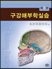 구강해부학실습