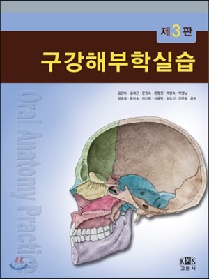 구강해부학실습