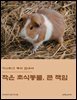 작은 초식동물, 큰 책임: 기니피그 케어 안내서