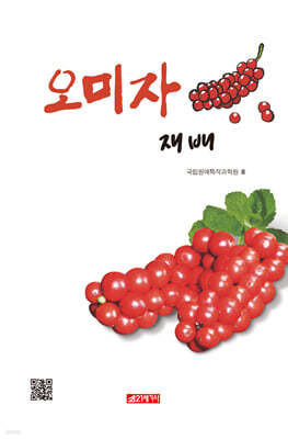 오미자 재배
