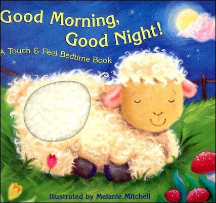 Good Morning, Good Night!: A Touch &amp; Feel Bedtime Book