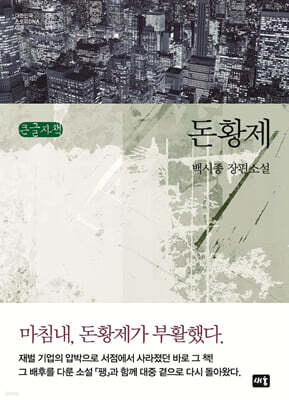 돈황제 (큰글자책)