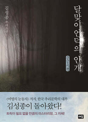 달맞이언덕의 안개 (큰글자책)