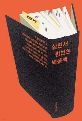 살면서 한번은 벽돌책 (큰글자도서)