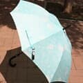 [WAS] 페이즐리 자동 장우산 에메랄드블루