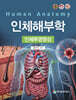 인체해부학