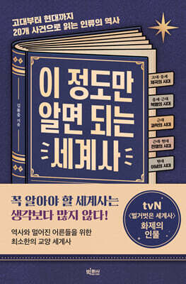 이 정도만 알면 되는 세계사 (큰글자도서)