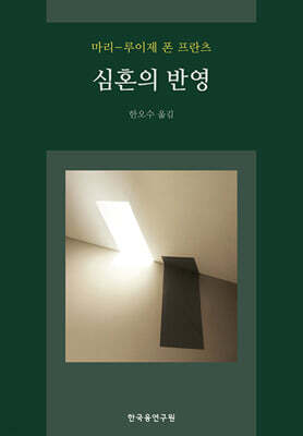 심혼의 반영