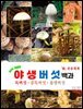 야생버섯백과 (독버섯.중독버섯.불명)
