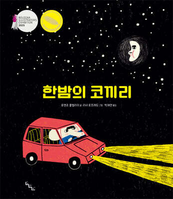 한밤의 코끼리