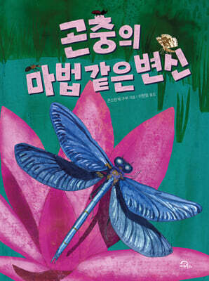 곤충의 마법 같은 변신