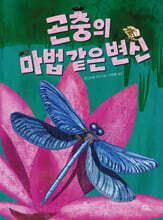 곤충의 마법 같은 변신