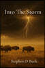 Into The Storm