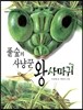 풀숲의 사냥꾼 왕사마귀