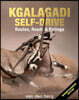 Kgalagadi Self-Drive: Routes, Roads & Ratings
