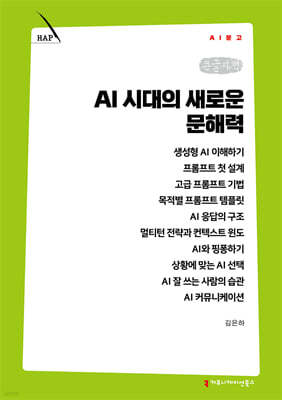 AI 시대의 새로운 문해력 (큰글자책)