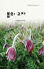 봄의 고지