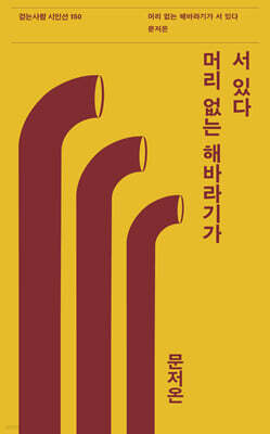 머리 없는 해바라기가 서 있다