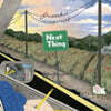 Frankie Cosmos (프랭키 코스모스) - 2집 Next Thing [골드 컬러 LP]