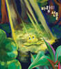 바람의 선물