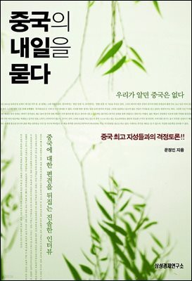 중국의 내일을 묻다