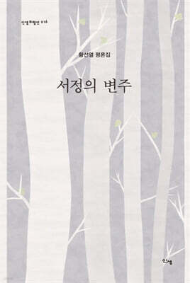 서정의 변주