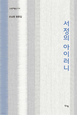 서정의 아이러니