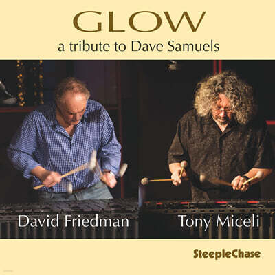 David Friedman & Tony Miceli (데이비드 프리드먼 & 토니 미첼리) - Glow