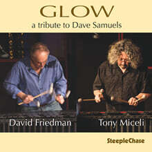 David Friedman &amp; Tony Miceli (데이비드 프리드먼 &amp; 토니 미첼리) - Glow