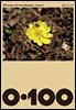 공백 《0·100》 Vol.7 봄이 오는 소리