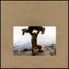 Shellac - Dude Incredible (180G)(LP+CD)