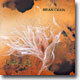 Brian Crain - Northern Sky