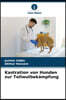 Kastration von Hunden zur Tollwutbekampfung