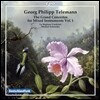 Michael Schneider 텔레만: 다양한 악기를 위한 협주곡 1집 (Telemann: The Grand Concertos for Mixed Instruments Vol.1)