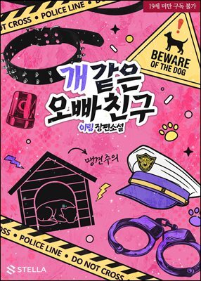개 같은 오빠 친구