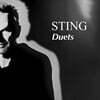 Sting (스팅) - Duets [2LP]