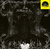 Laufey (라이베이) - A Matter of Time: Live at Madison Square Garden [빅 애플 레드 컬러 LP]