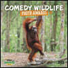 Comedy Wildlife Photography Awards (PFP) W