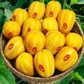 성주 참외 4.5kg 혼합과