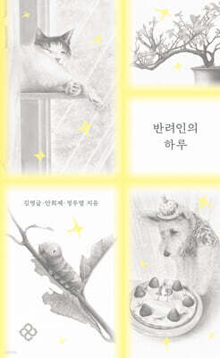 반려인의 하루