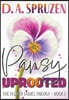 Pansy Uprooted