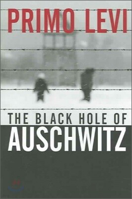 The Black Hole of Auschwitz