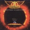 Aerosmith - I Don't Want To Miss A Thing [SINGLE][1998년 SONY MUSIC ENTERTAINMENT JAPAN 일본발매반]