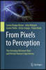 From Pixels to Perception: The Interplay Between Real and Virtual Human Experiences