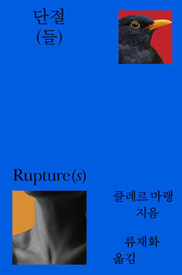 단절(들)