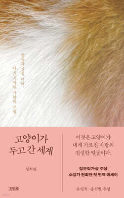 고양이가 두고 간 세계